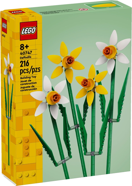 Daffodils - #40747