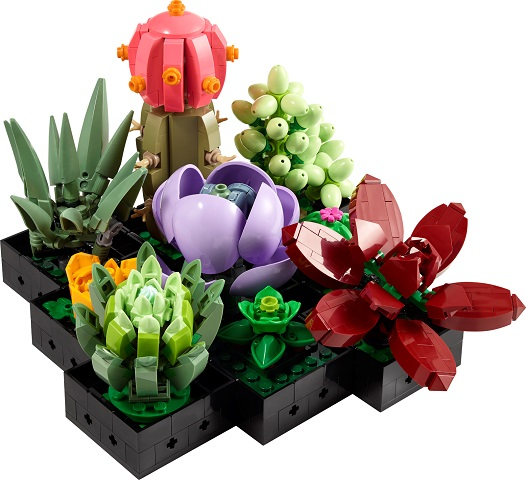 Succulents - #10309