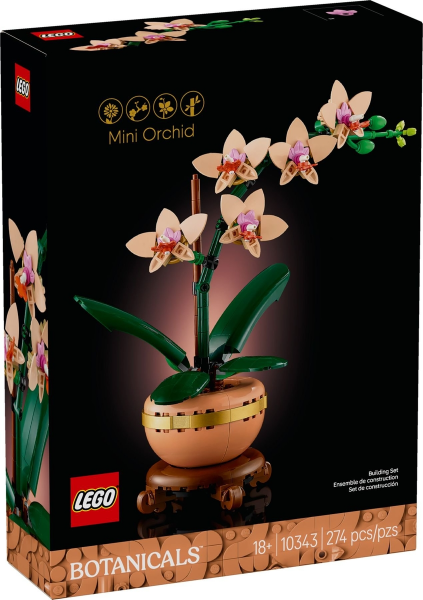 Mini Orchid - #10343