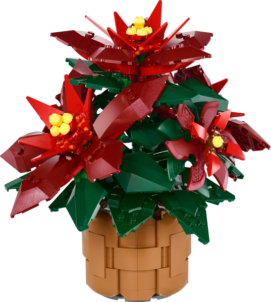 Poinsettia - #10370